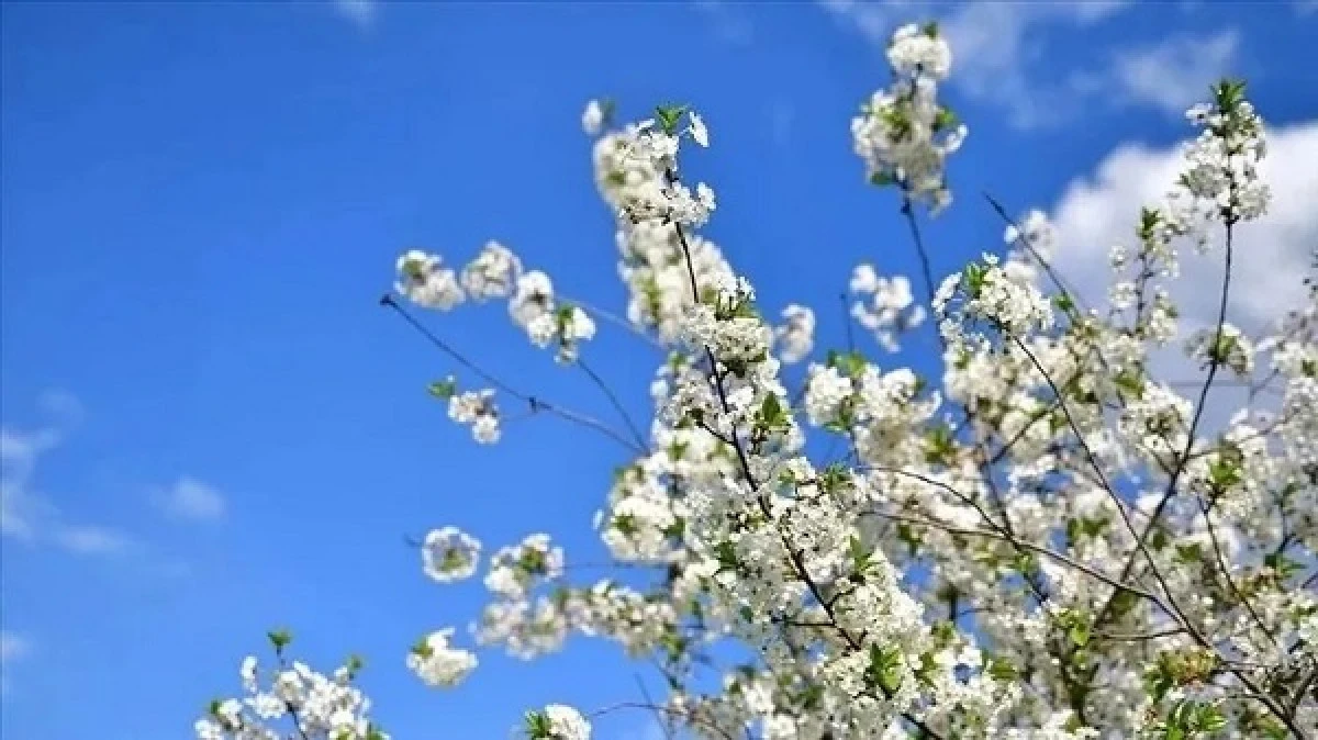 Baharım m&uuml;jdecisi cemre ne zaman ve nereye d&uuml;şecek?