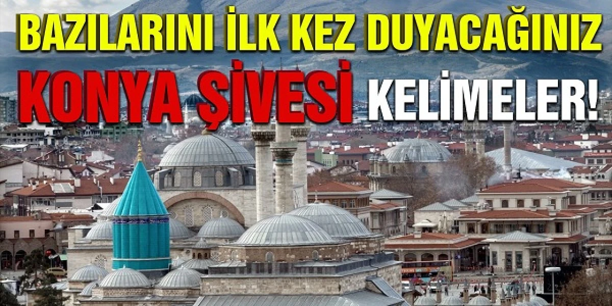 Bazılarını ilk kez duyacağınız gonya şivesi kelimeler