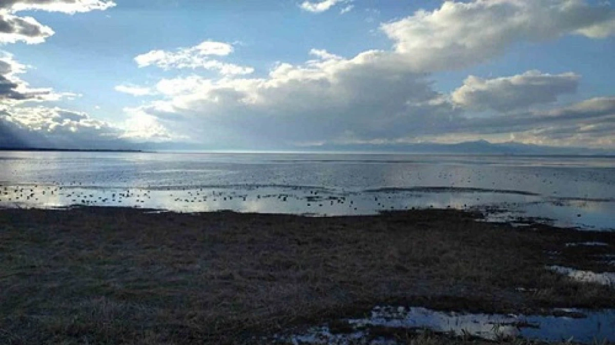 Beyşehir gölü için yol haritası hazırlandı