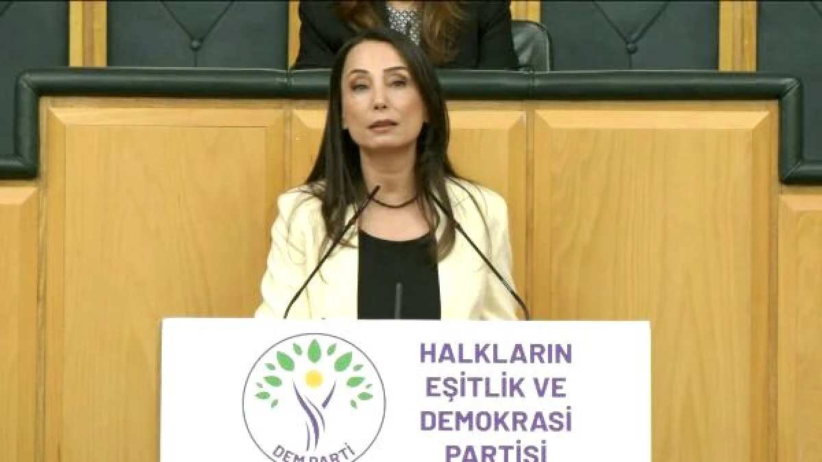 DEM Parti&rsquo;li Hatimoğulları: &Ccedil;er&ccedil;eve yasa mutabakatla &ccedil;ıkmalı