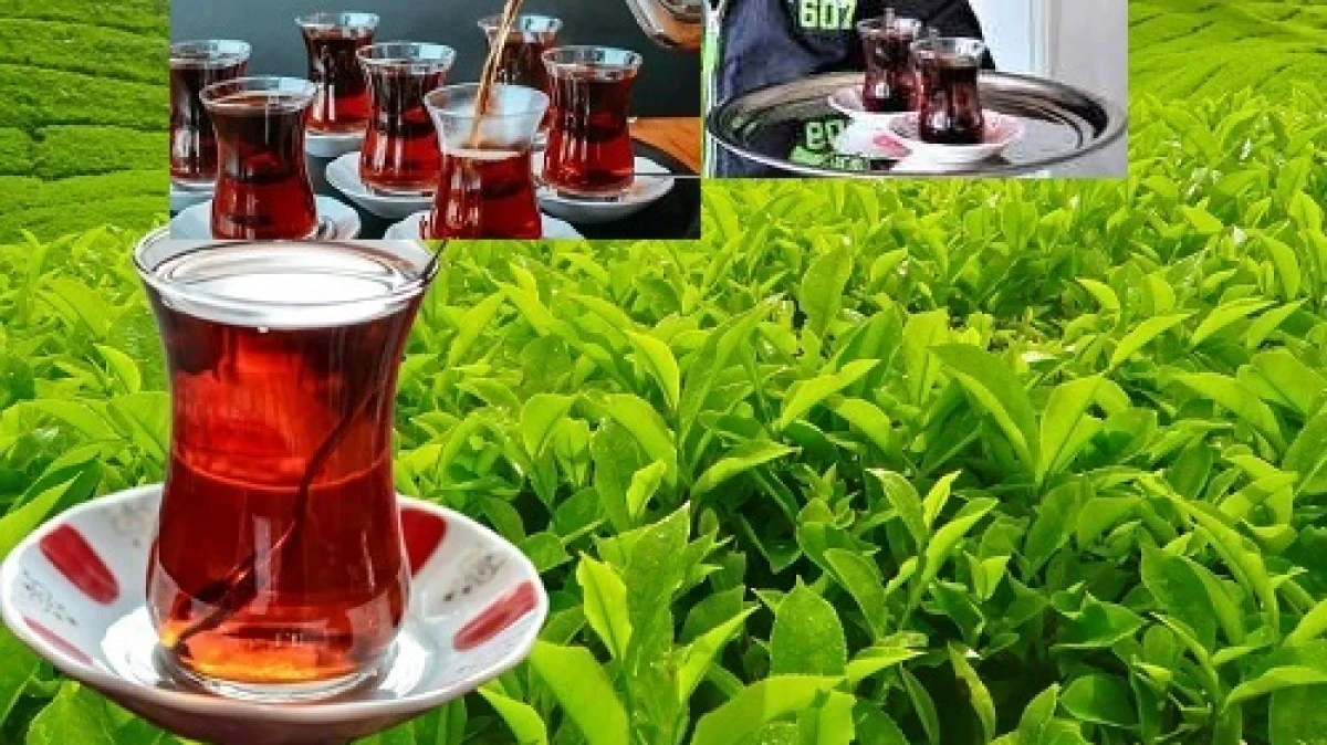 Demli çay, böbrekte taş riskini artırıyor!