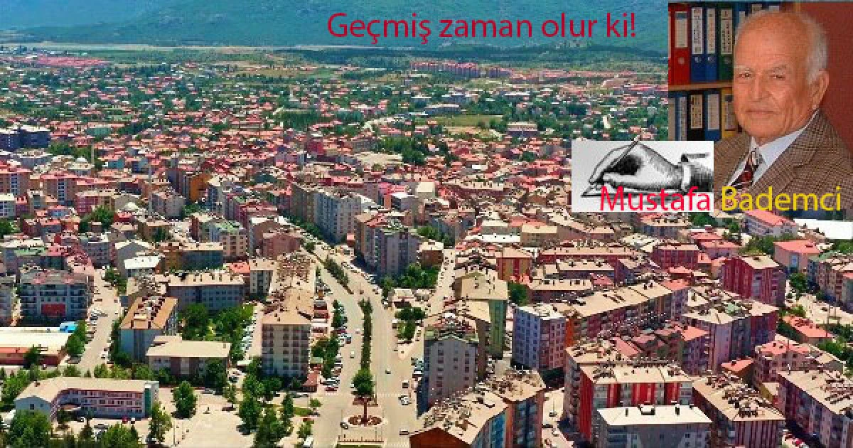 Gabıklı fasille 