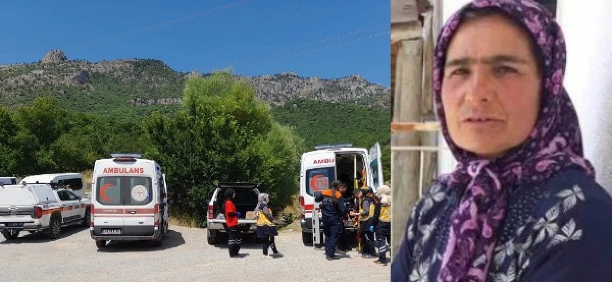 Kaybolan firdevs &uuml;ner'den sevindirici haber