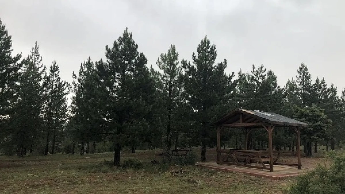 Konya ve il&ccedil;elerde ormanlara girişler yasaklandı! İşte yasaklı b&ouml;lgeler