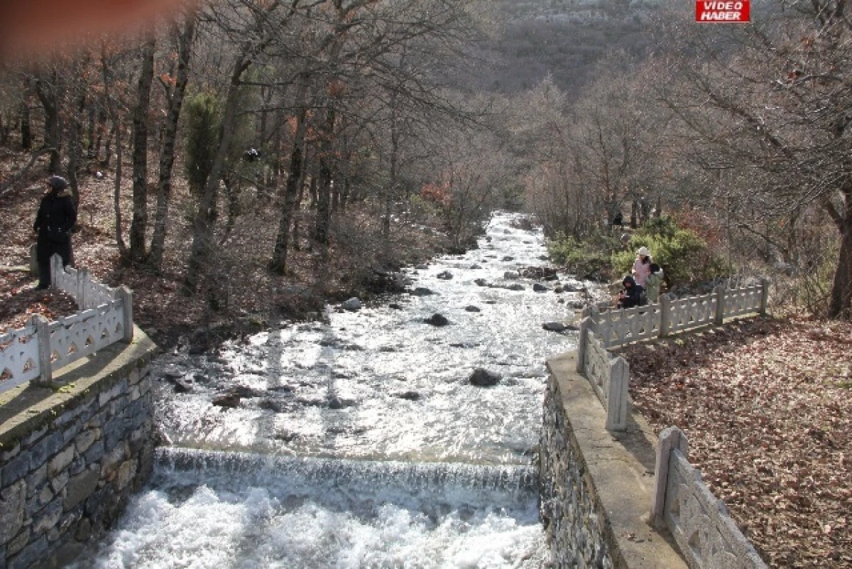 Kuraklığın ardından yağmur bereketi: Seydişehir&rsquo;de sular y&uuml;kseldi
