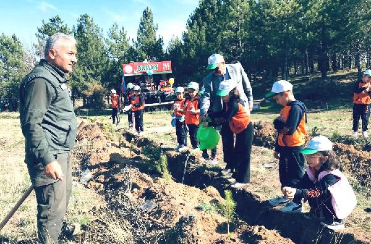Merkez ilkokulu yeşil vatan için fidan dikti