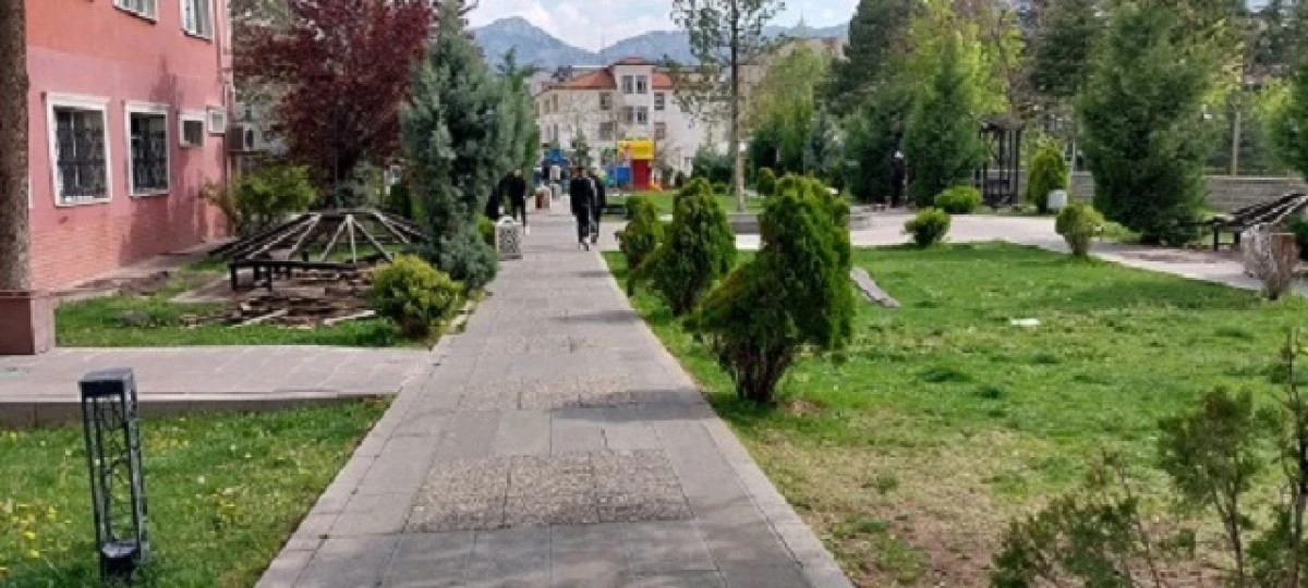 Parkın kamelyaları baştan aşağı yenileniyor