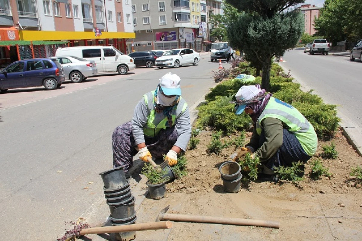 Seydişehir belediyesi, Bulvar ve caddelerde peyzaj çalışması yapıyor