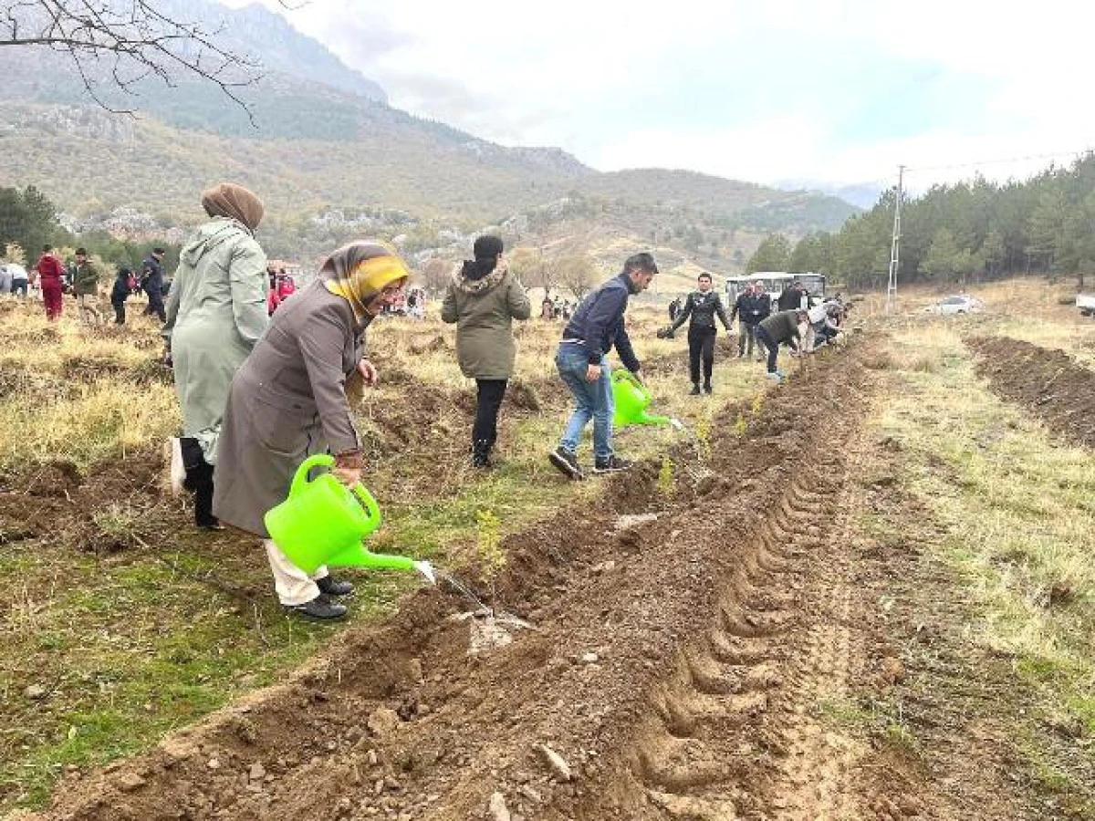 Seydişehir’de kurumlar el ele verdi, fidanlar toprakla buluştu
