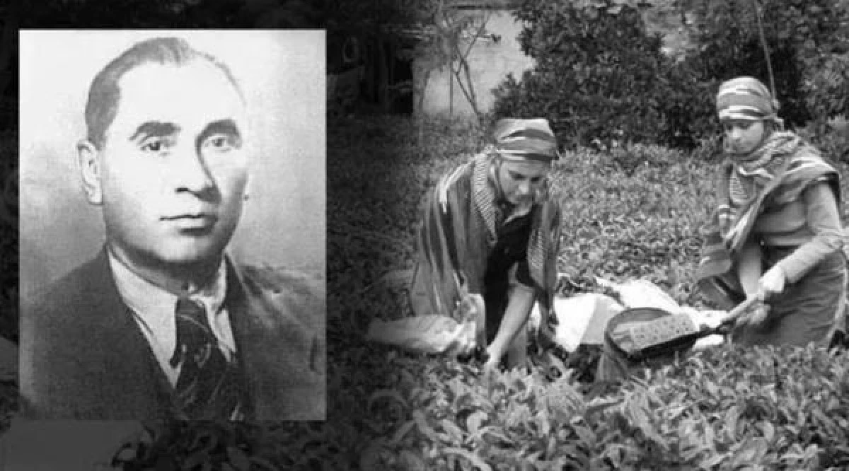 Tropikal iklimde yetişen &ccedil;ay T&uuml;rkiye&rsquo;de nasıl &uuml;retildi?