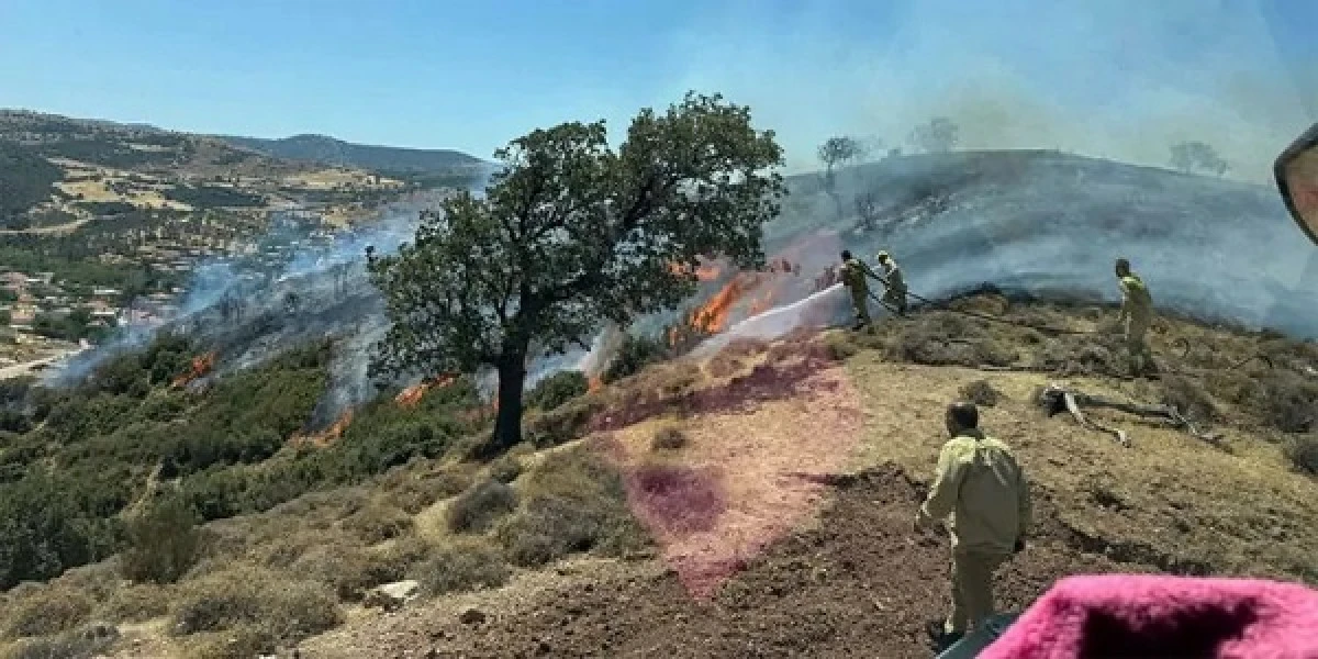 Ülke genelinde çıkan 761 orman yangının tamamı kontrol altına alındı