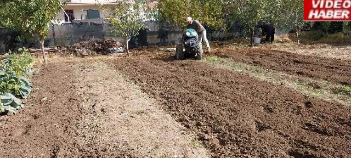 Üreticiler bahçelerinde sonbahar mesaisinde