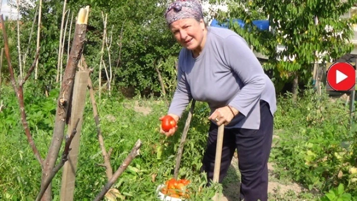 Toprağa dokunan huzuru buluyor